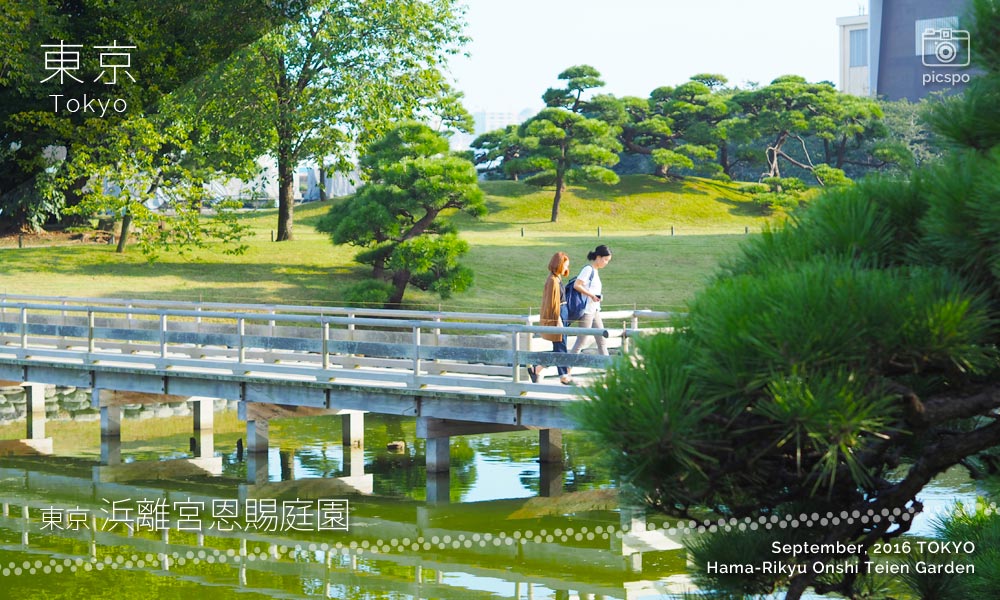Hama Rikyu Onshi Teien Garden (浜離宮恩賜庭園) pond