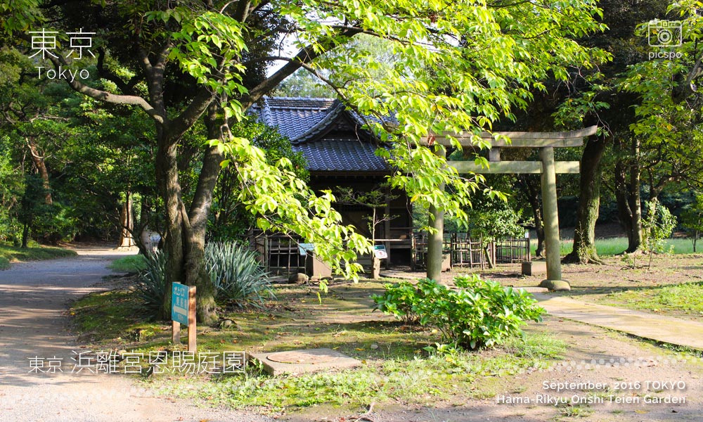 浜離宮恩賜庭園の旧稲生神社
