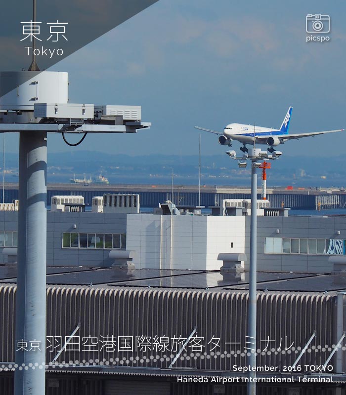 羽田空港 国際線旅客ターミナル