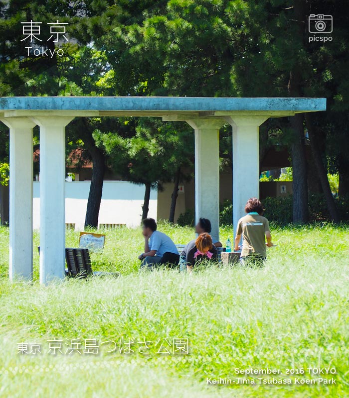 京浜島つばさ公園の芝生広場