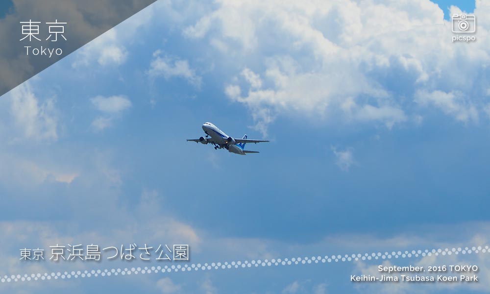 京浜島つばさ公園から見える離陸機
