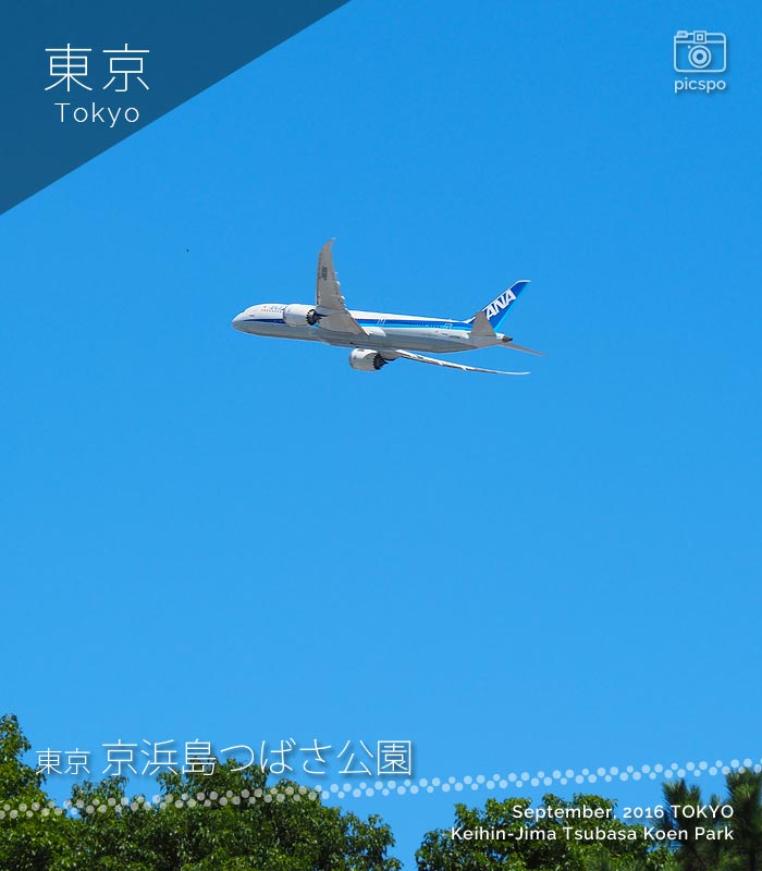 京浜島つばさ公園から見える飛行機