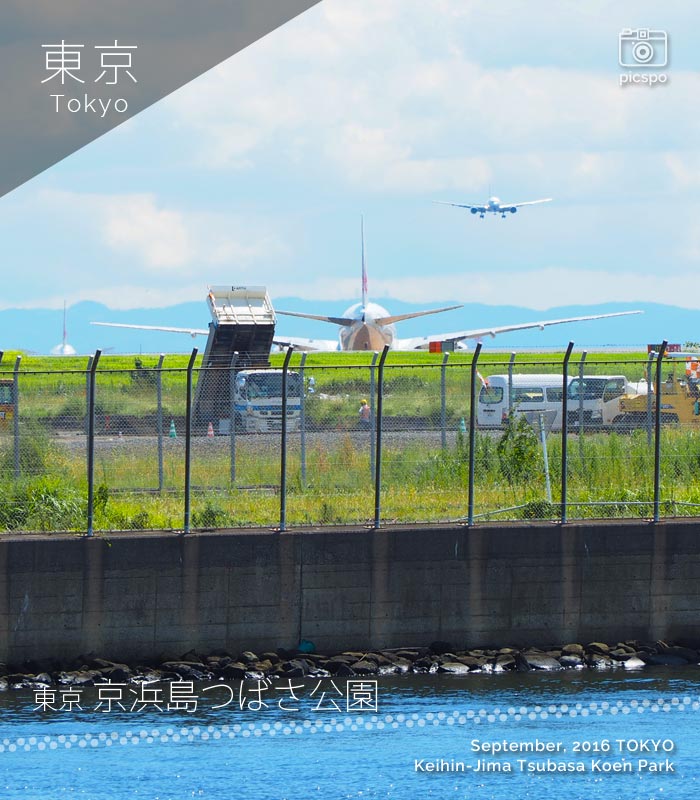 京浜島つばさ公園から見える飛行機