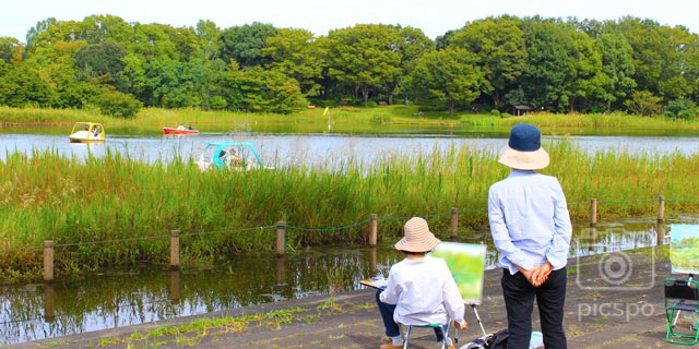 Japan, Tokyo : Enjoy! Showa Kinen Park (昭和記念公園)