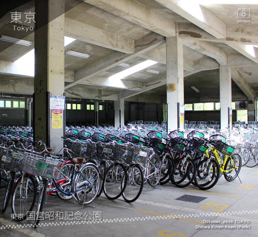 Showa Kinen Park (昭和記念公園) bicycle rental stations
