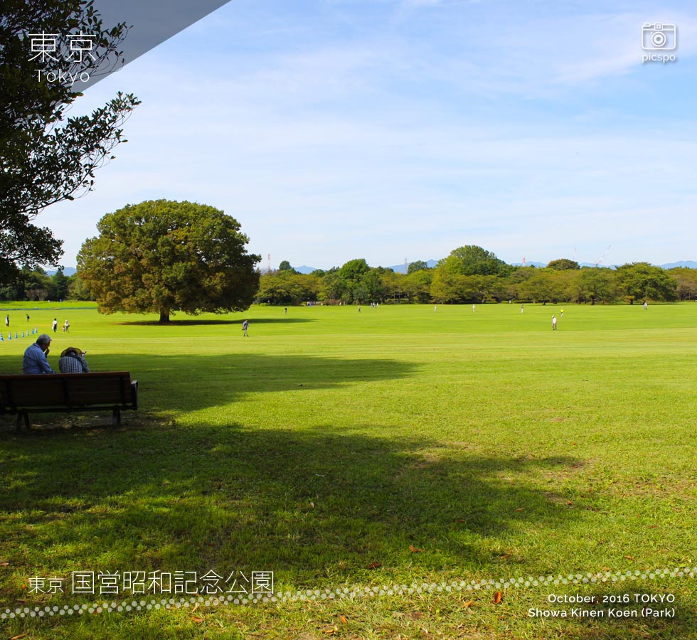 Showa Kinen Park (昭和記念公園) みOpen field