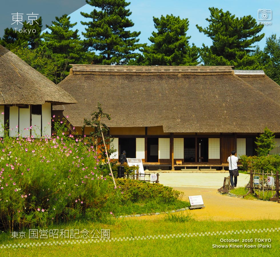 Showa Kinen Park (昭和記念公園) Komorebi Village
