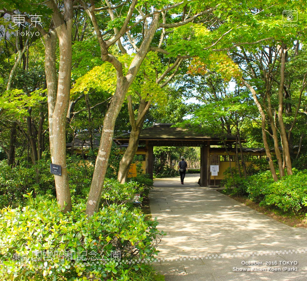 Showa Kinen Park (昭和記念公園) Japanese garden