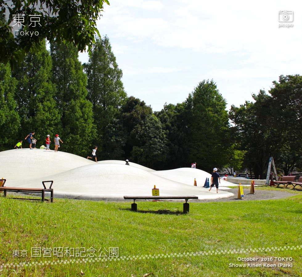 Showa Kinen Park (昭和記念公園) Children's Forest
