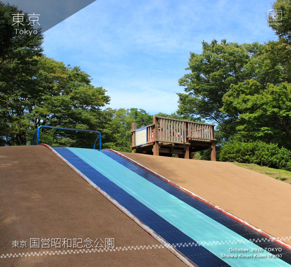 Showa Kinen Park (昭和記念公園) Children's Forest