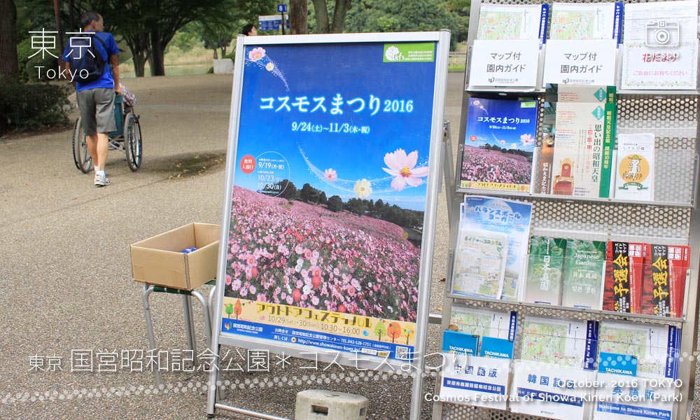 昭和記念公園のコスモスまつりパンフレット