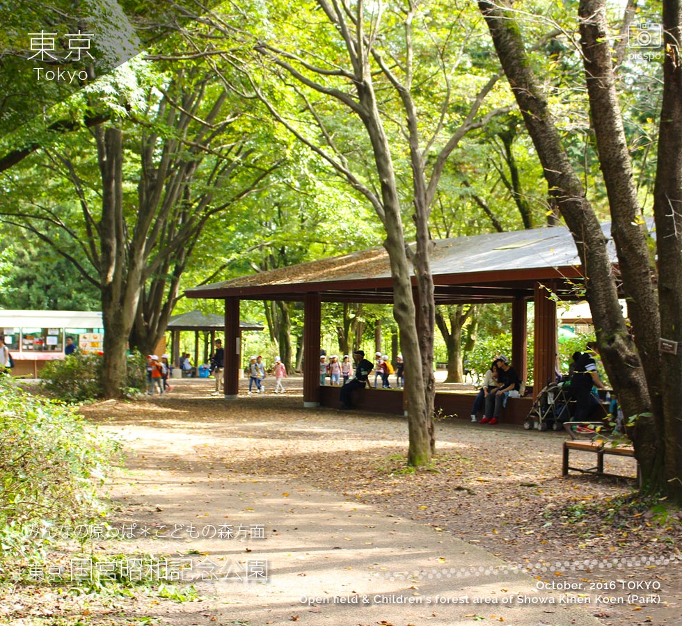 昭和記念公園のこどもの森