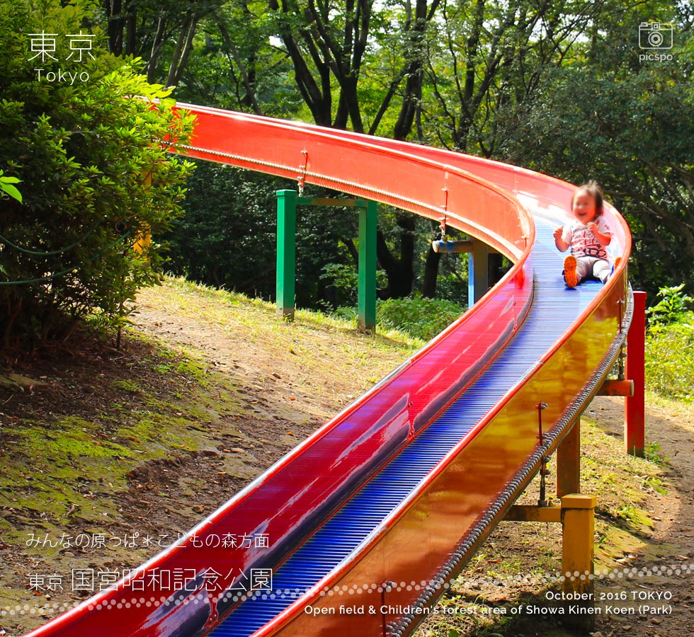 昭和記念公園の空の滑り台