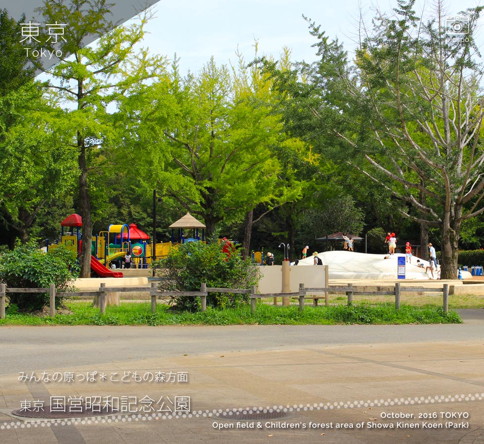 昭和記念公園のわんぱく遊具