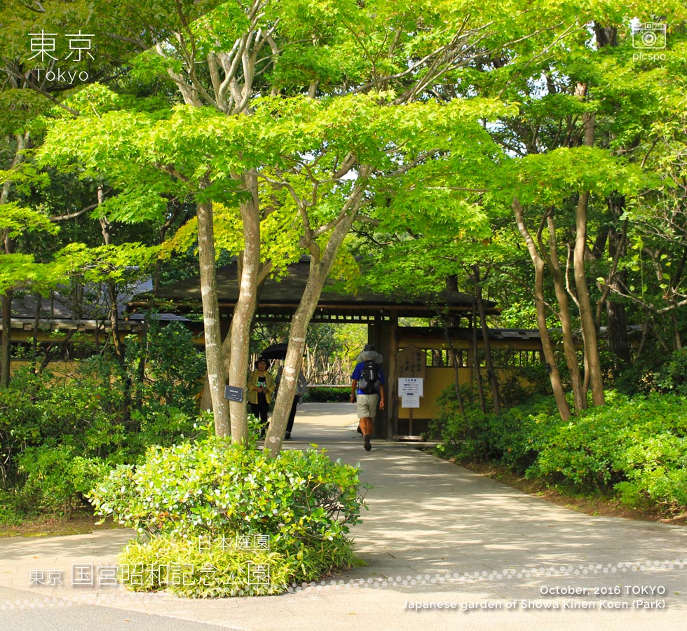 昭和記念公園の日本庭園：南の門