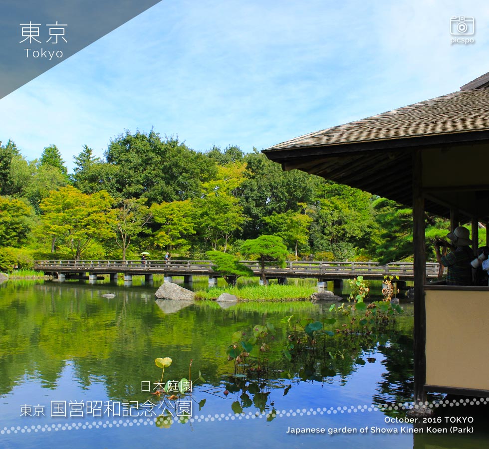昭和記念公園の日本庭園：昌陽