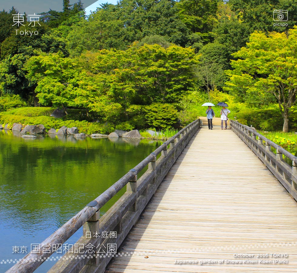 昭和記念公園：日本庭園の橋