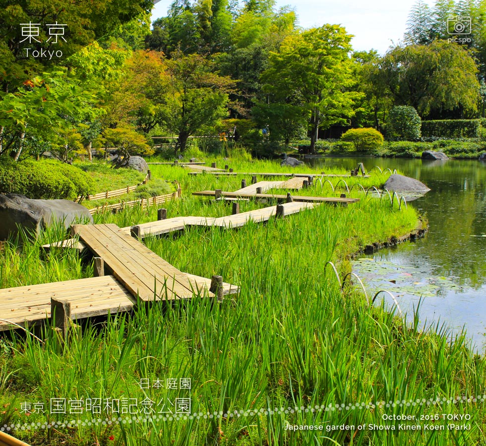 昭和記念公園の日本庭園：東のながれ