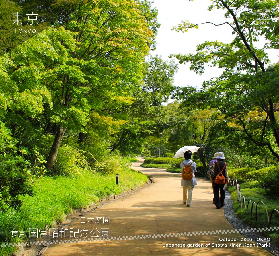 昭和記念公園の日本庭園：北の流れ