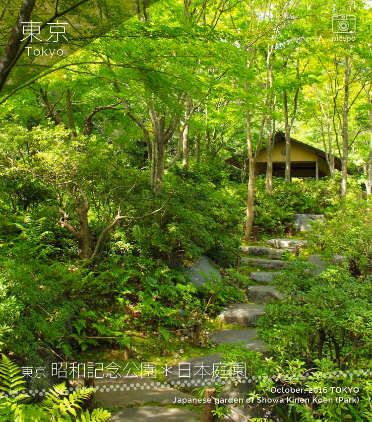 昭和記念公園の日本庭園：北の森