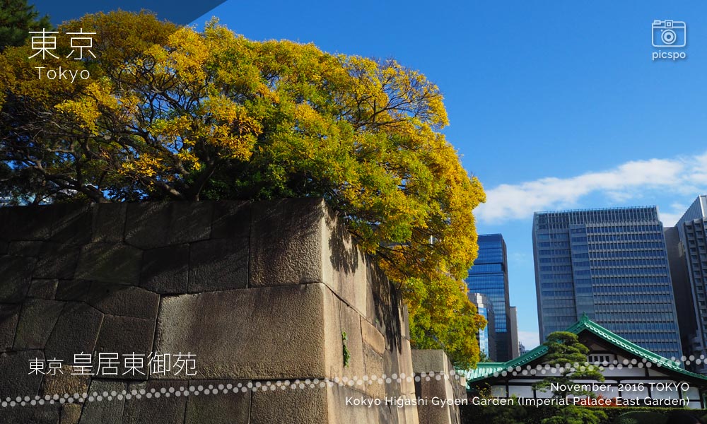 The East Gardens of the Imperial Palace (Kokyo Higashi Gyoen) stone wall