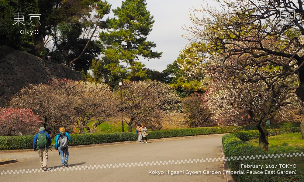 The East Gardens of the Imperial Palace (Kokyo Higashi Gyoen) Bairin-zaka Slope