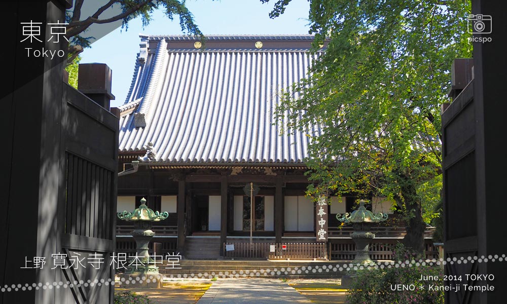 寛永寺･根本中堂の屋根