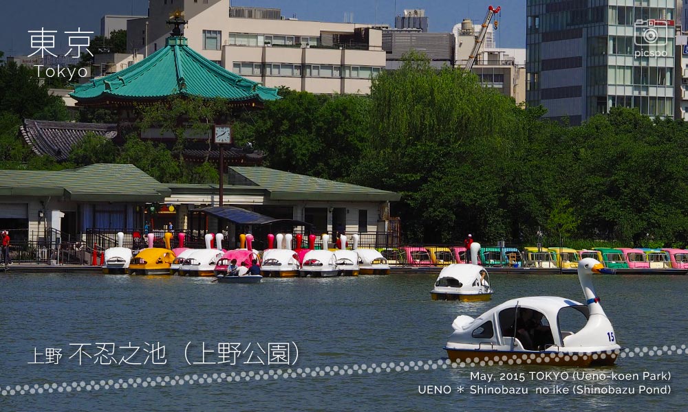 上野不忍池のボート場