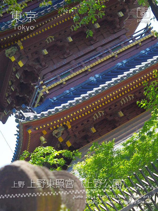 上野東照宮横の五重塔