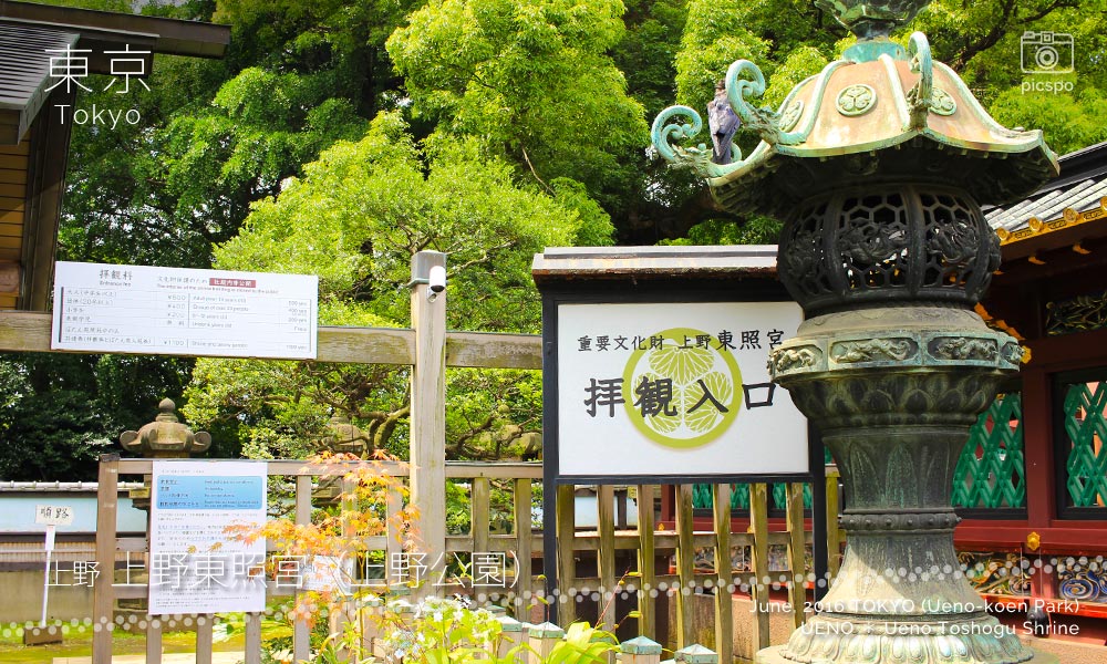 Ueno Toshogu shrine (上野東照宮) entrance