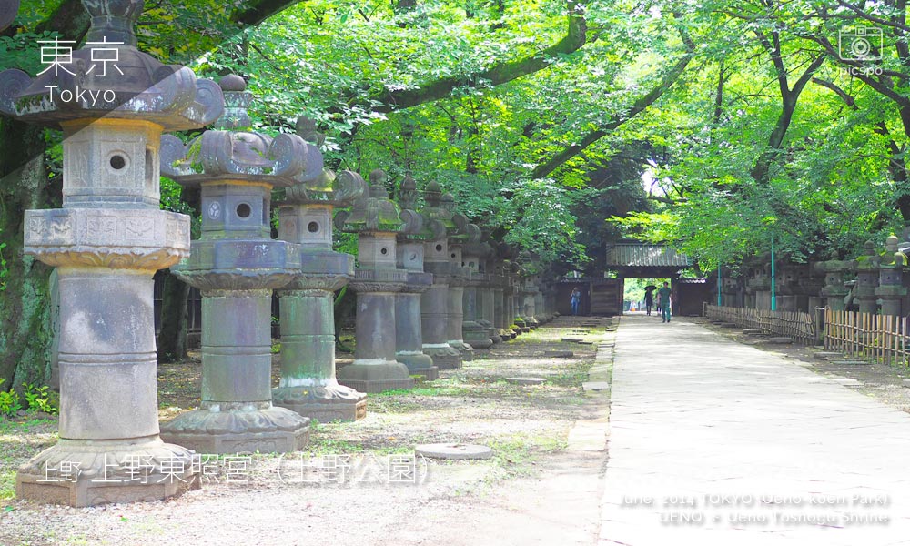 Ueno Toshogu shrine (上野東照宮) 参道