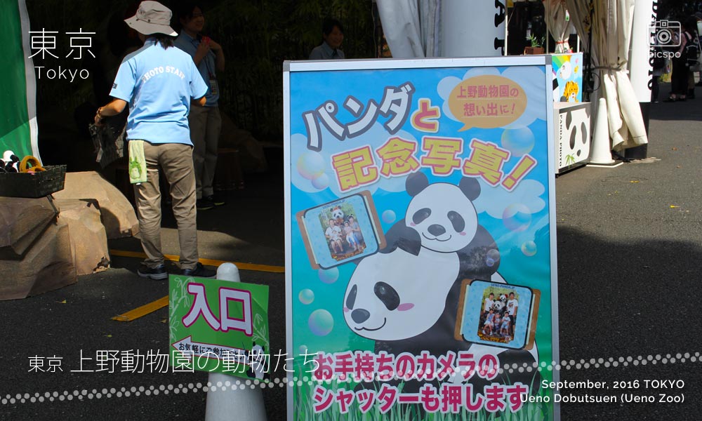 上野動物園のPANDA PHOTO