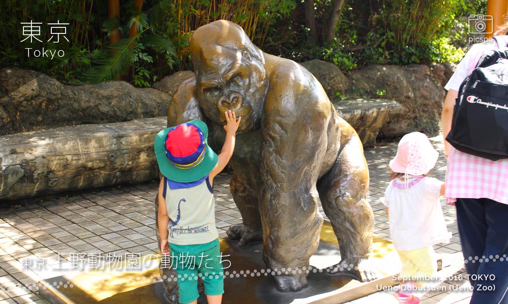 上野動物園のゴリラの銅像