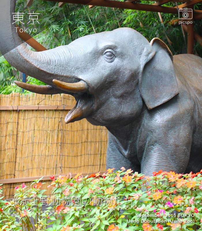 上野動物園の象のブロンズ像