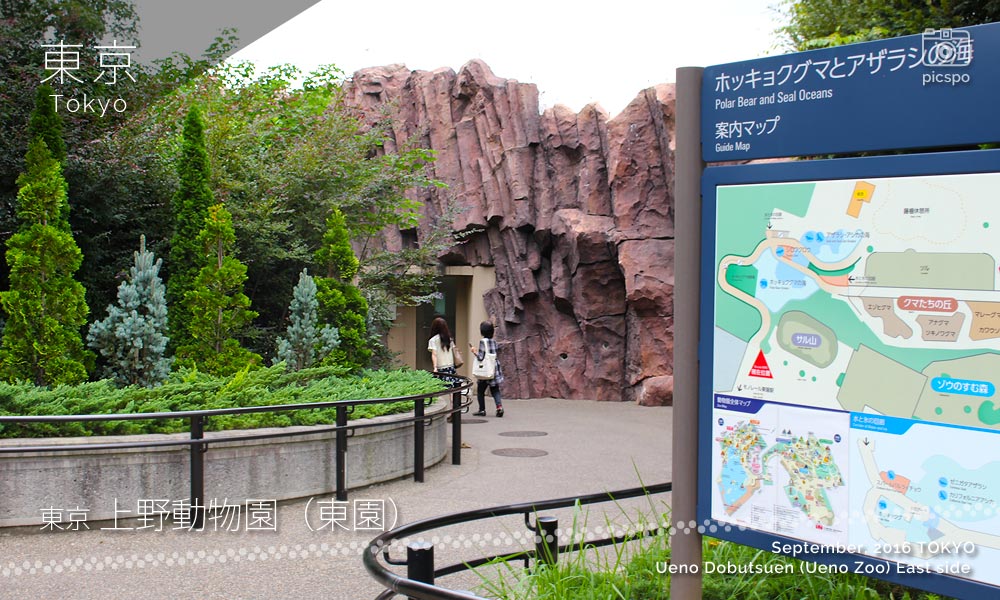上野動物園･東園のホッキョクグマとアザラシの海