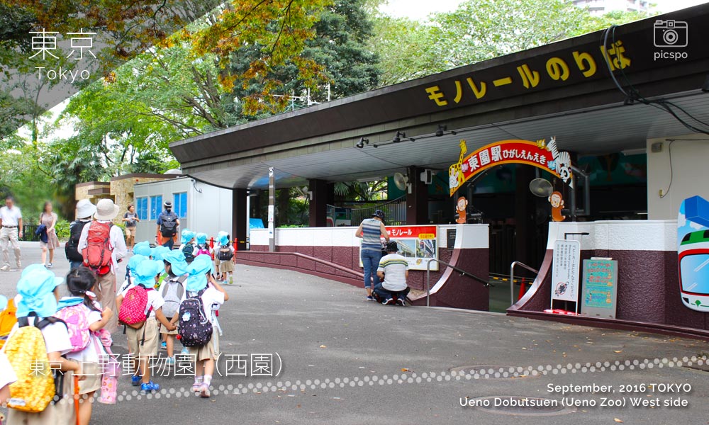 上野動物園･西園の