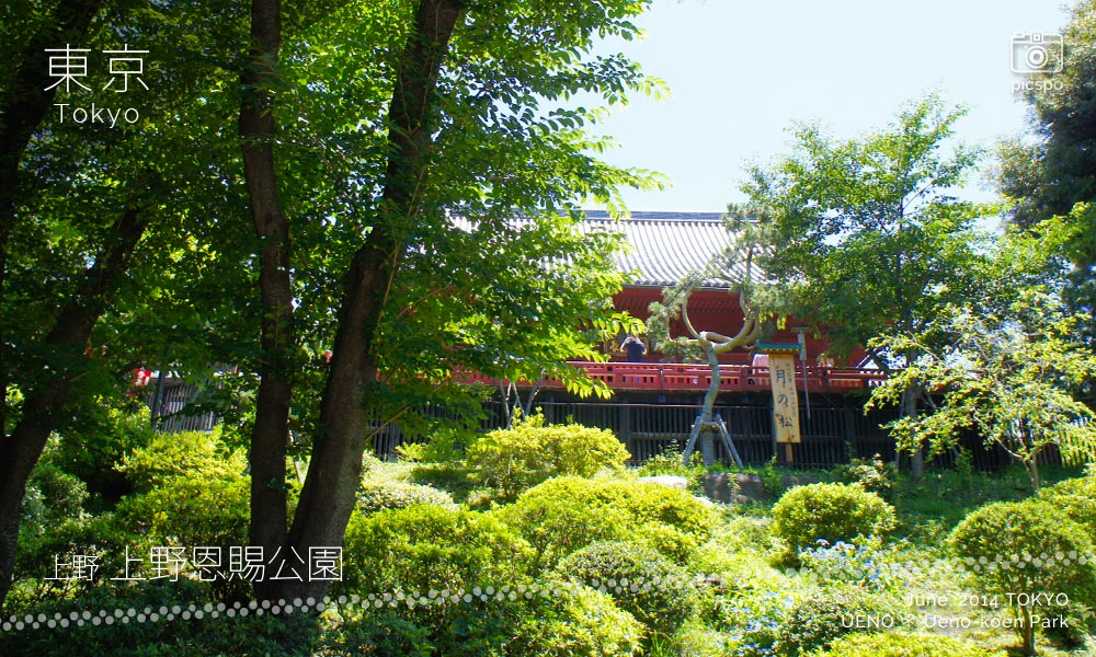 上野公園の清水観音堂
