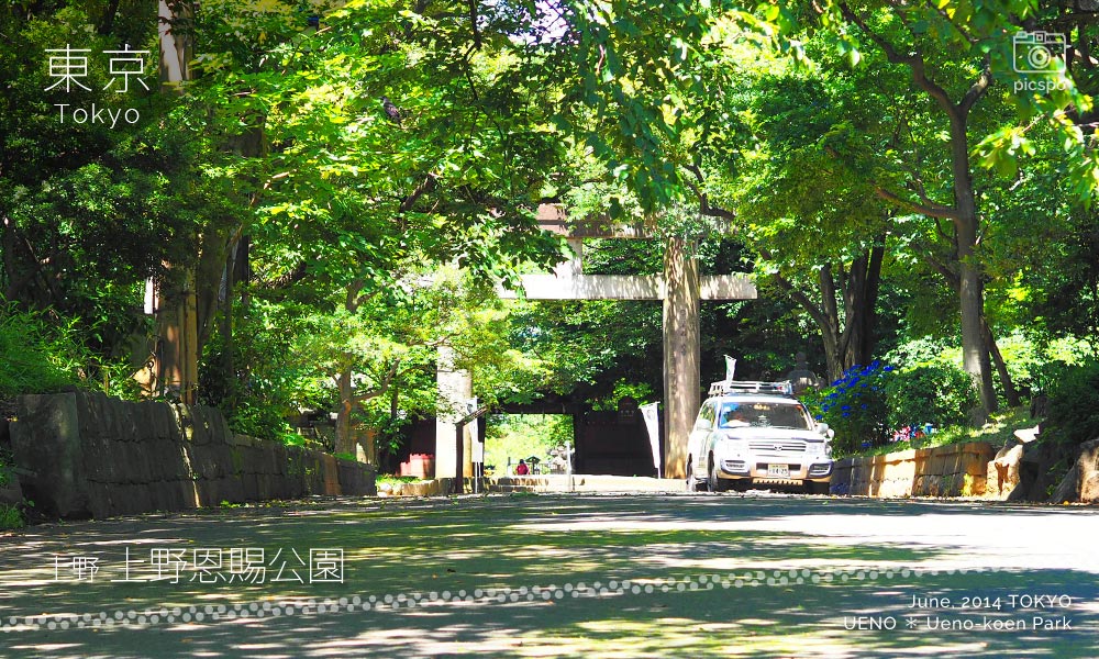 Ueno Park (上野公園) Ueno Toshogu Shrine