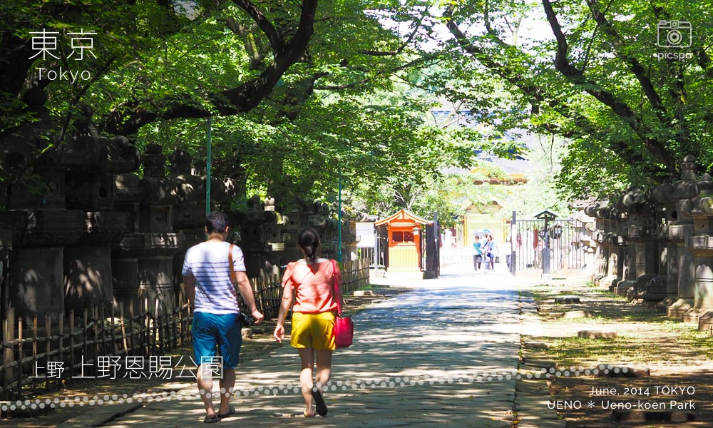 Ueno Park (上野公園) Ueno Toshogu Shrine