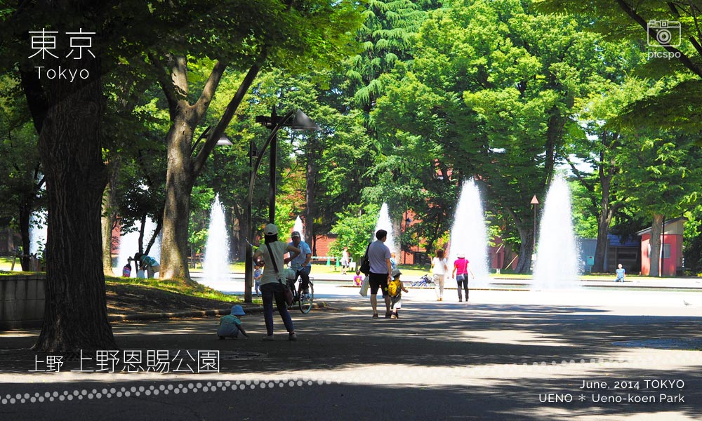 Ueno Park (上野公園) fountain