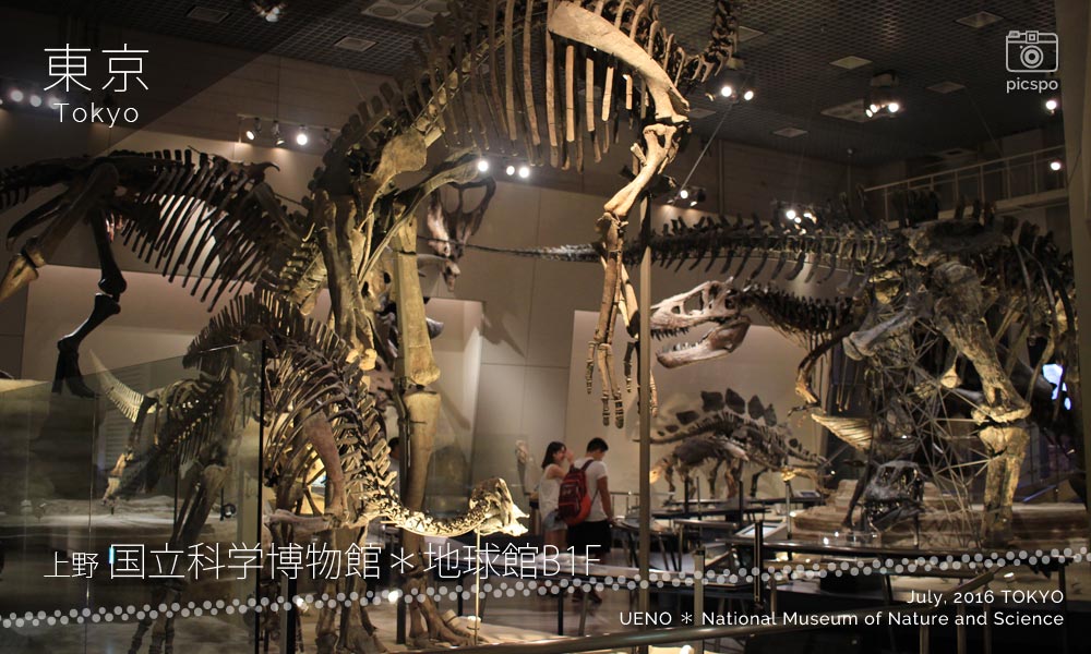 国立科学博物館･地球館B1Fの恐竜フロア