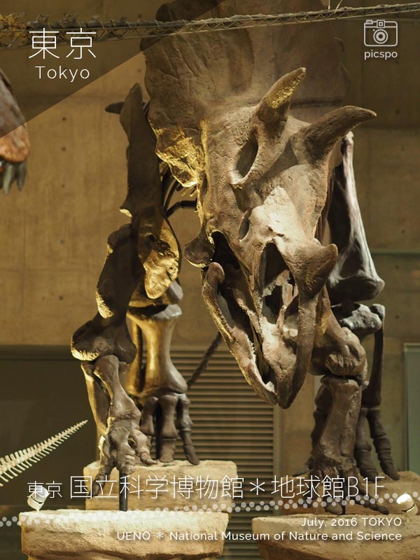国立科学博物館･地球館B1Fのトリケラトプス